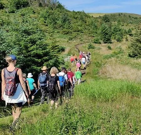 招待所 Utstein Pilegrimsgard